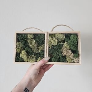Handcrafted Green Moss Wall Art Decor handmade 5x5 2 Pieces